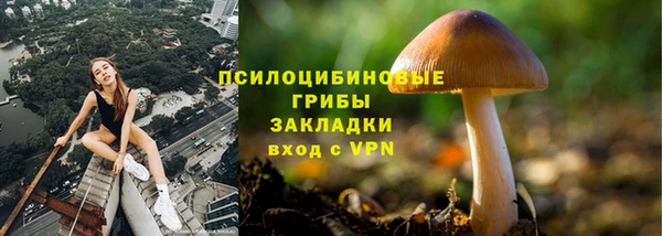 индика Покровск