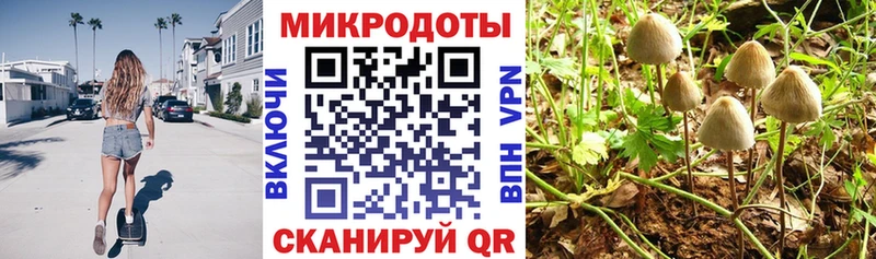 Галлюциногенные грибы MAGIC MUSHROOMS  наркота  Шацк 